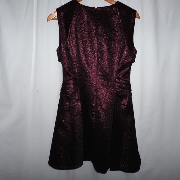 NWT SASS & BIDE A Fallen Star metallic Dress S 4 - Picture 5 of 8